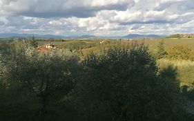 La Casa Delle Rondini